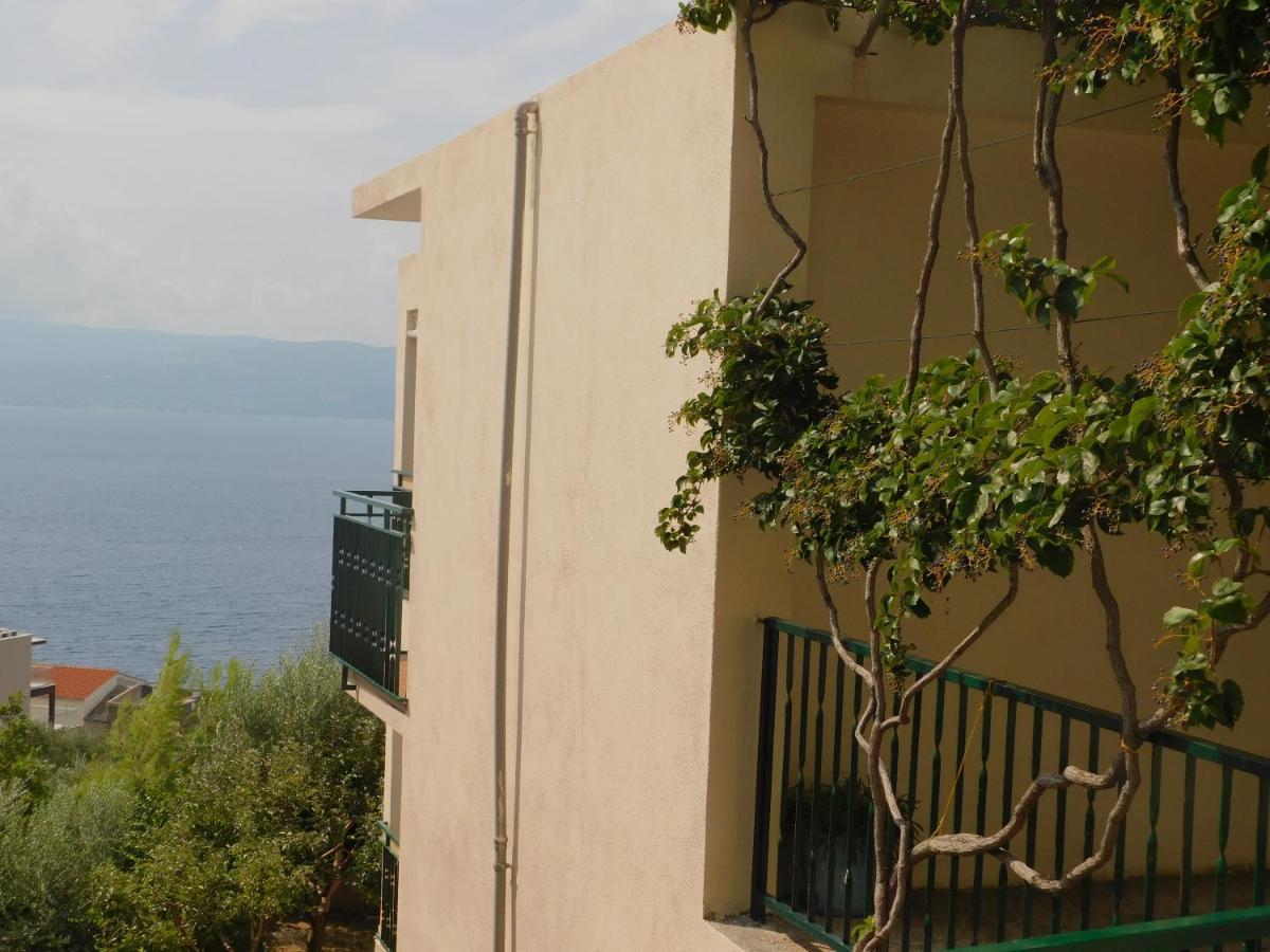 Apartment Lejo جيسينتسي المظهر الخارجي الصورة