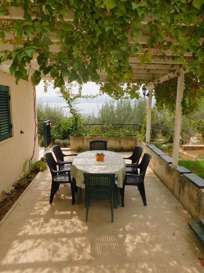 Apartment Lejo جيسينتسي المظهر الخارجي الصورة